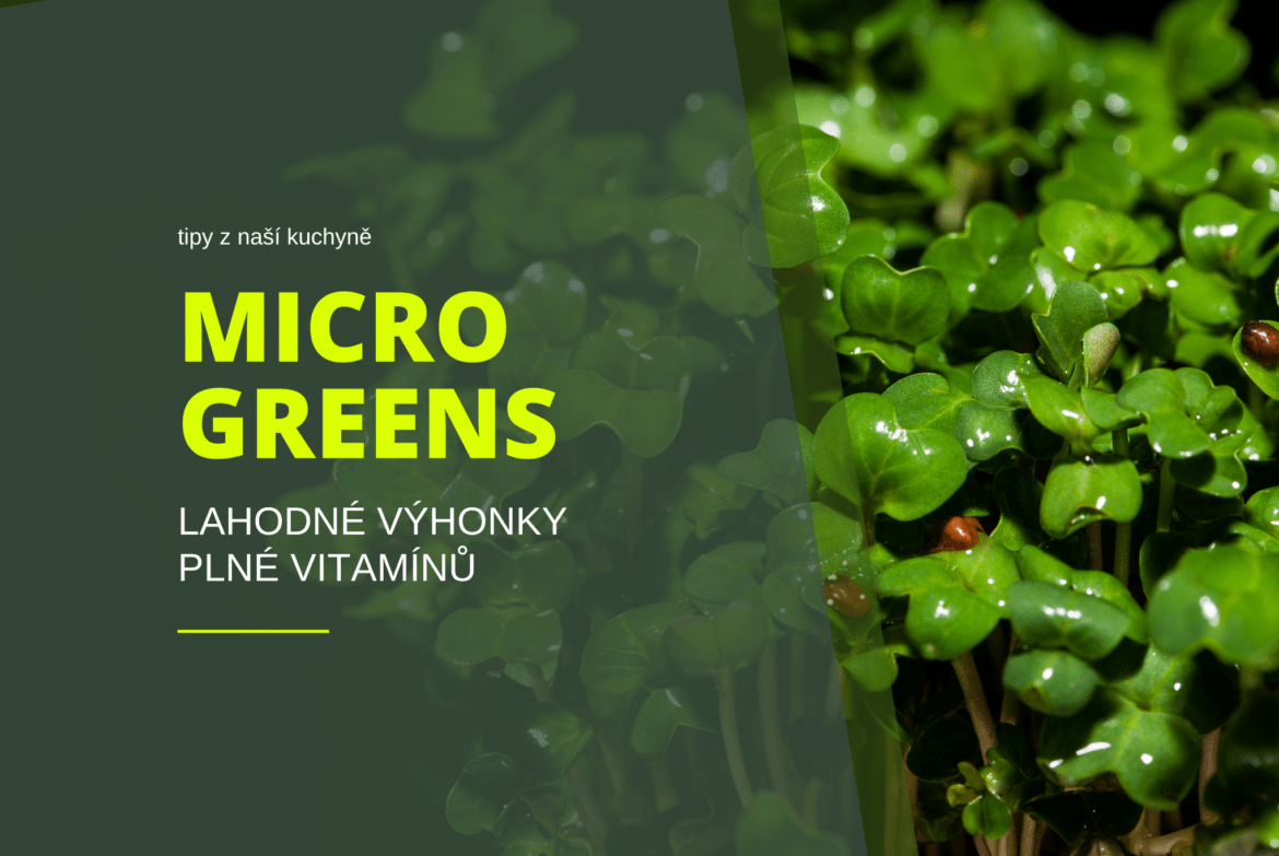Mikrobylinka, microgreens, pěstování, zdobení jídla