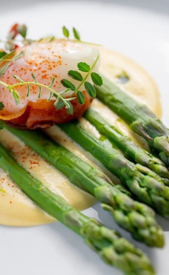 chřestové-menu-ilustrační-foto