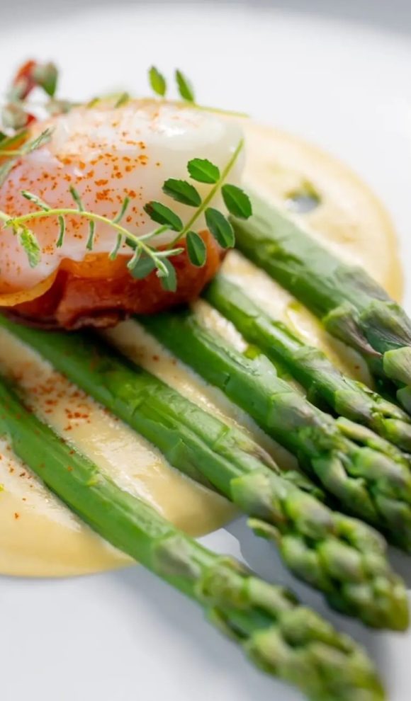 chřestové-menu-ilustrační-foto